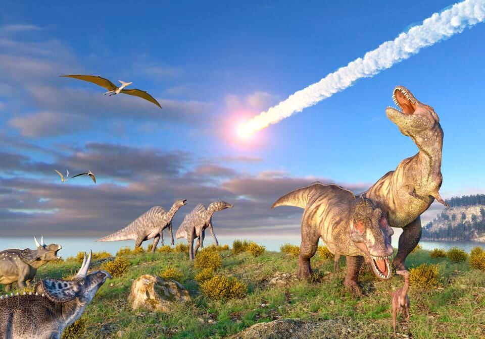 Գիտնականները նշել են դինոզավրերի վերացման պատճառը