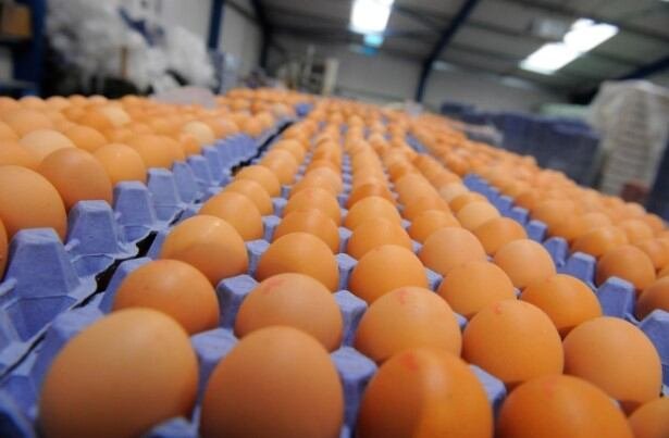 Մեծ Բրիտանիան պատրաստ է սահմանափակումներ մտցնել ձվի վաճառքի վրա՝ դեֆիցիտի պատճառով
