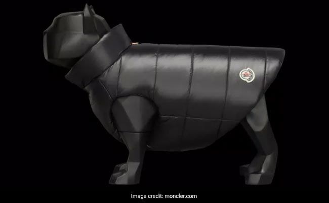 Moncler Launches ₹ 36,000 Jacket For Dogs, Internet Says It Looks Like “Tyres”
