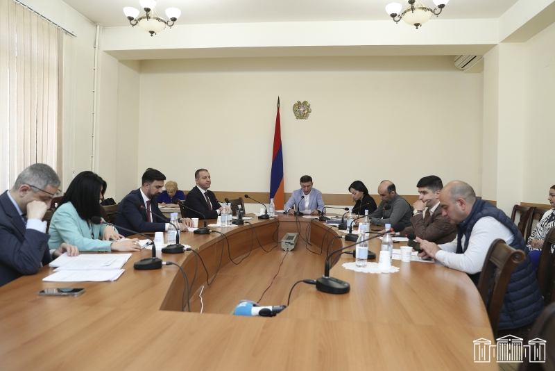 Դեղատների ներկայացուցիչները դիմել են Տնտեսական հարցերի մշտական հանձնաժողովին. նիստում հանրագիր է քննարկվել