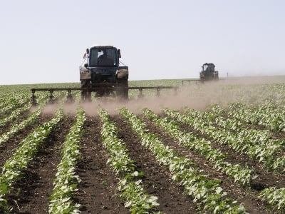 Գեղարքունիքի մարզում 2022-ին գյուղատնտեսական նշանակության հողերի 53 տոկոսը չի  մշակվել