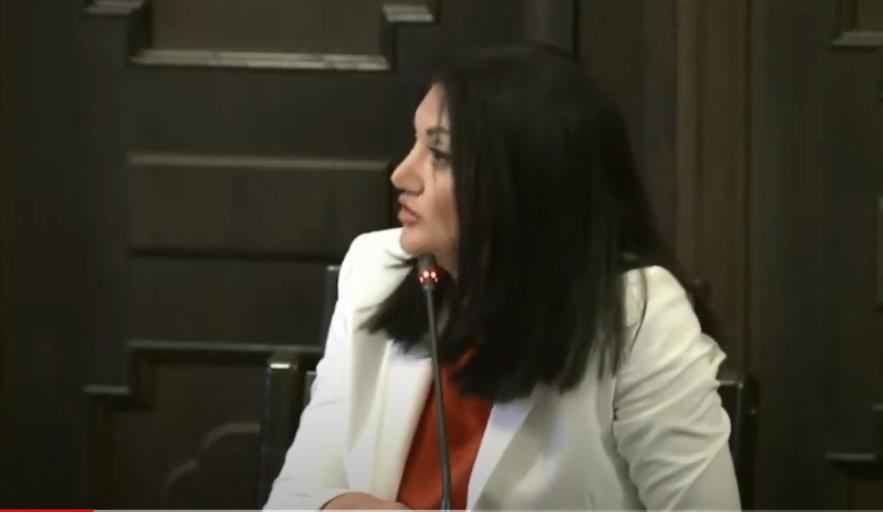 Վտանգավոր ապրանքների գները բարձրացնելը հարցի լուծում չէ. Լենա Նանուշյանը կարևորել է առողջ ափսեի գաղափարը. ՏԵՍԱՆՅՈՒԹ