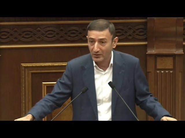 Տուգանքը պիտի լինի զսպող, ոչ թե պետական բյուջե փող լցնելու միջոց  Թունյան. ՏԵՍԱՆՅՈՒԹ