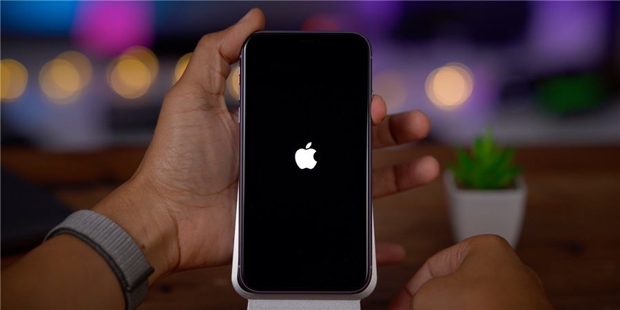 Франция разрешила продажу iPhone 12 после обновления, снизившего уровень излучения: Коммерсантъ