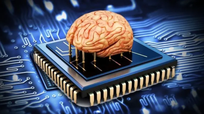 16 искусственных мозгов управляют первым в мире «живым компьютером» в Швейцарии