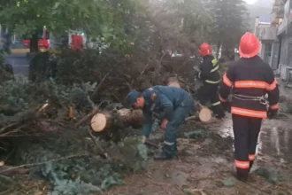 Քամու պատճառած վնասները