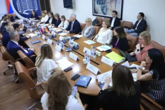 Մեկնարկել են հայ-գերմանական միջկառավարական խորհրդակցությունները