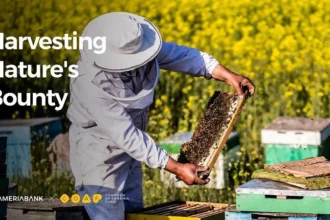 Ameriabank and COAF Pool Efforts to Develop Beekeeping in Lori Region