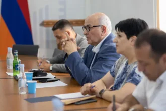 Փոխնախարարը ներկայացրել է Հայաստանի համար ռազմավարական առաջնահերթությունները
