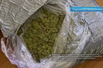Առաքանուց  հայտնաբերել է 1600 գրամ «մարիխուանա» տեսակի թմրամիջոց