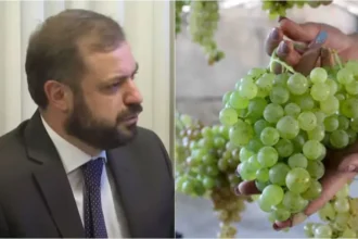 Պետությունը երաշխիք կտա, որ մթերողները կարողանան վարկ վերցնել. ՏԵՍԱՆՅՈՒԹ