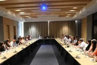 Վերջին երկու տարիները բավականին ծանրաբեռնված էին հարկային և մաքսային վարչարարության բարեփոխումների առումով. Անահիտ Բասենցյան