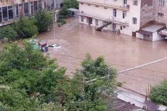 Ամփոփվել են աղետի գոտում գյուղատնտեսությանը պատճառված վնասների տվյալները