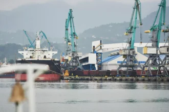 Внешняя торговля Грузии выросла с начала года