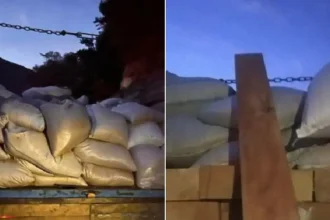 Կանխվել է ապօրինի փայտանյութի քողարկված տեղափոխումը. ԲԸՏՄ