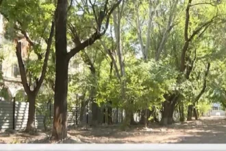 Մերգելյանի այգում բարեկարգման առաջին փուլի շինարարական աշխատանքների 90 տոկոսն ավարտված է