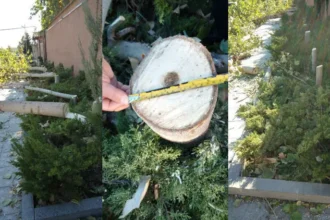 Շրջակա միջավայրին հասցված վնասի չափը կազմել է 1.590.000 ՀՀ դրամ