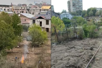 Նոր Նորքում այգին վնասելու համար կիրառվել են պատասխանատվության միջոցներ. ԲԸՏՄ