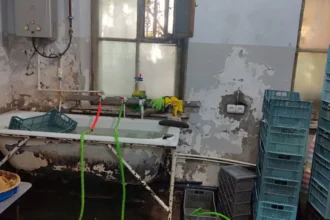 Կաթմամթերքի արտադրամասի գործունեություն է կասեցվել