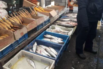 ԲԸՏՄ-ն Գյումրու շուկայից առգրավել է 15 կգ սիգ