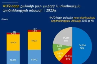 2023թ-ին ՓՄՁ-ների քանակը ըստ չափերի և տնտեսական գործունեության տեսակի