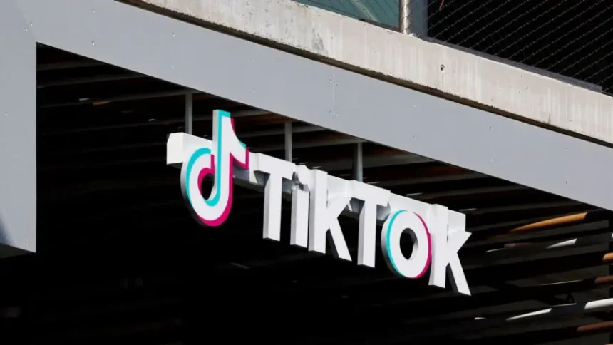 TikTok-ի միլիոնավոր օգտատերեր ստիպված կլինեն այընտրանքային միջոցներ փնտրել