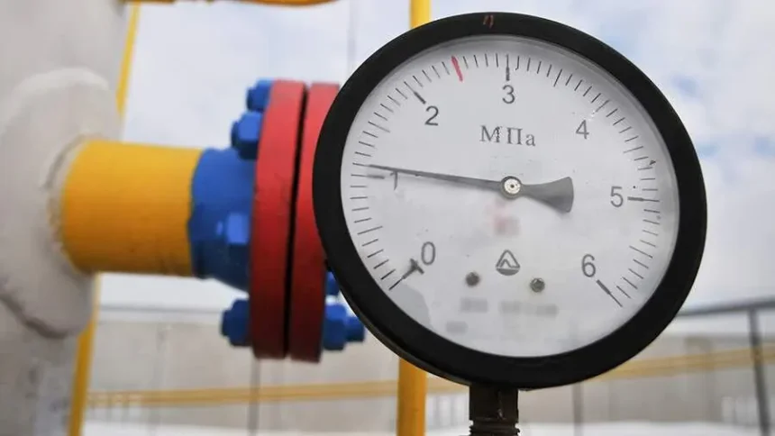 Украинский депутат отверг идею Зеленского о транзите азербайджанского газа