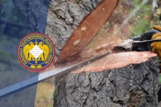 Պետությանը պատճառվել է առանձնապես խոշոր չափերի՝ 17 մլն դրամի գույքային վնաս. ՔԿ