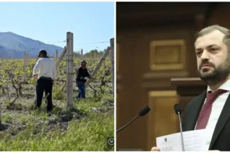 Գյուղացուն մենակ չենք թողելու․ Կառավարությունը մասամբ իր վրա կվերցնի գյուղապահովագրությունը.  ՏԵՍԱՆՅՈՒԹ