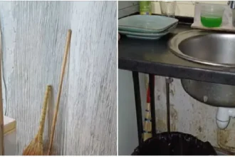 Կասեցվել է «Լայք» բար-սրճարանի գործունեությունը. ՍԱՏՄ