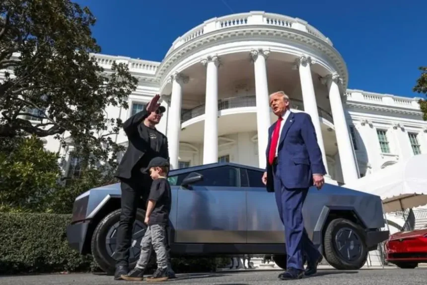 Less Trump, More Tesla: Musk Makes a Choice