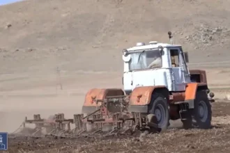 Կառավարությունն աջակցություն է տրամադրում գարնանացան-աշնանացանի աշխատանքների կազմակերպման համար