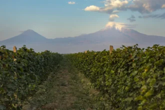 «Կոնյակի ու սպիրտի հարցը շարունակում է չկարգավորված մնալ, կարծում եմ, որ մեր տնտեսվարողներն այստեղ ճիշտ են». Պապոյան