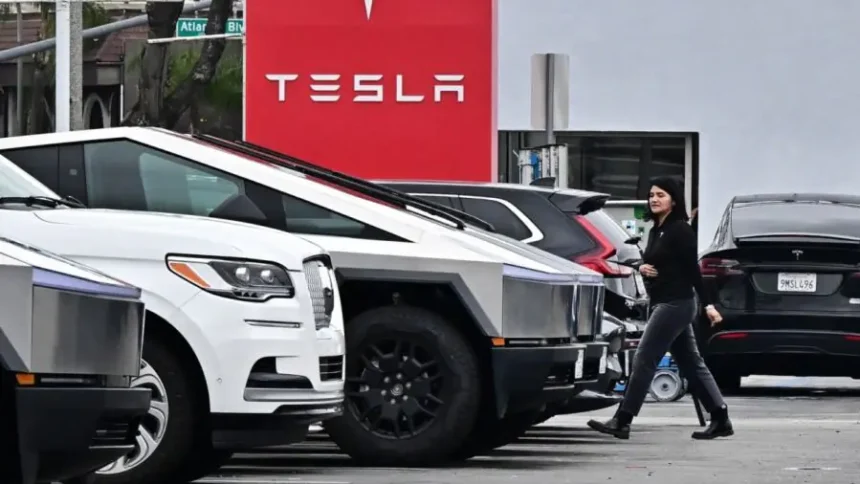 Tesla Sales Plunge in Europe