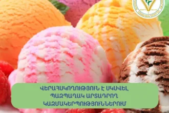 Պաղպաղակի 6 արտադրության գործունեությունը կասեցվել է. ՍԱՏՄ-ն վերահսկողություն է սկսել