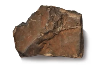 World’s biggest Mars rock sells for $5.3 million at auction