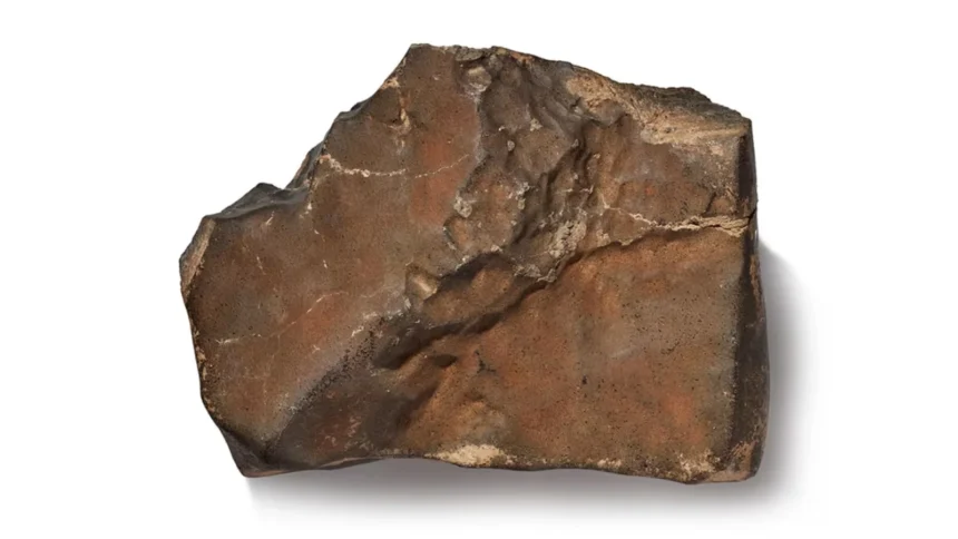 World’s biggest Mars rock sells for $5.3 million at auction