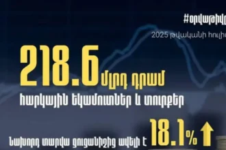 Հուլիսին 2024-ի նույն ժամանակահատվածի համեմատ հարկային մուտքերն աճել են 18.1 %-ով. ՊԵԿ նախագահ