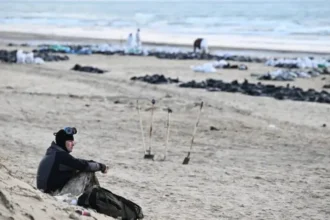 Суд взыскал 49,46 миллиарда рублей с владельца затонувшего танкера