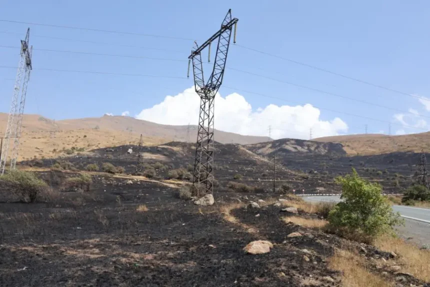 Հրդեհի հետևանքով բուսական աշխարհին պատճառված վնասի փաստով ԲԸՏՄ-ն հաղորդում է ներկայացրել ՔԿ. վնասի չափը կազմել է 1մլն 816 հզր 500 դրամ