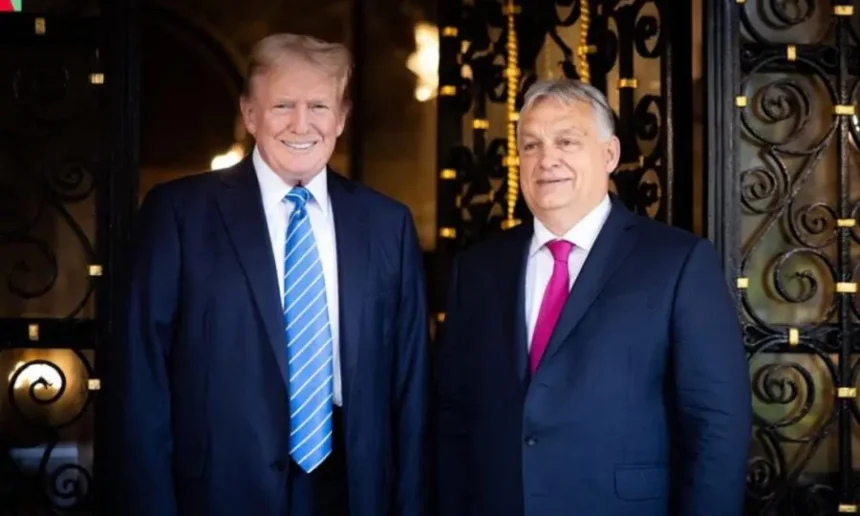 Եվրոպան քվեարկում է, Հունգարիան բողոքում է, Թրամփը հասկանում է