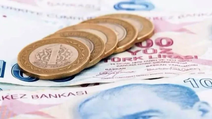 Թուրքական լիրան անկում ապրելով՝ հասավ ռեկորդային ցածր մակարդակի