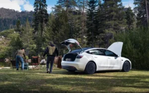 Tesla-ն ներկայացրել է ավելի մատչելի տարբերակներ Model Y և Model 3 ավտոմեքենաների