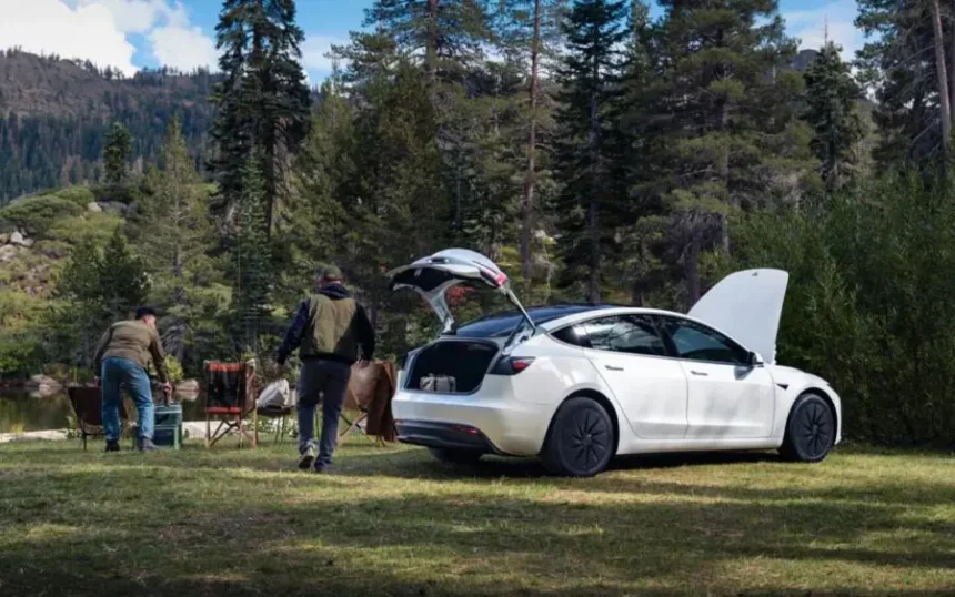 Tesla-ն ներկայացրել է ավելի մատչելի տարբերակներ Model Y և Model 3 ավտոմեքենաների