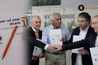 Մի դրամի ուժը` Սիմֆոնիկ անտառին. ՏԵՍԱՆՅՈՒԹ