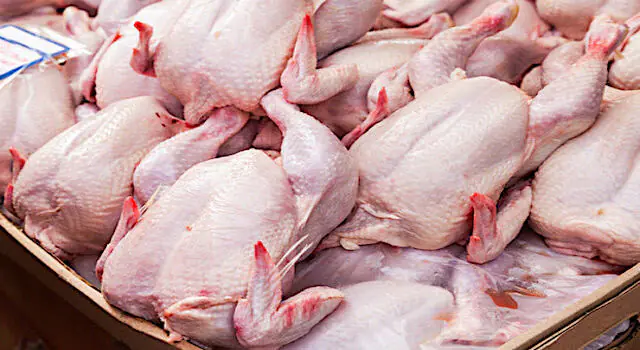В Грузии развернули около 20 тонн замороженного куриного мяса и тонну рыбы из Турции