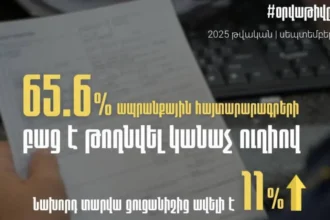 Ապրանքների հայտարարագրերի 65.6%-ը բաց է թողնվել կանաչ ուղիով. ՊԵԿ նախագահ