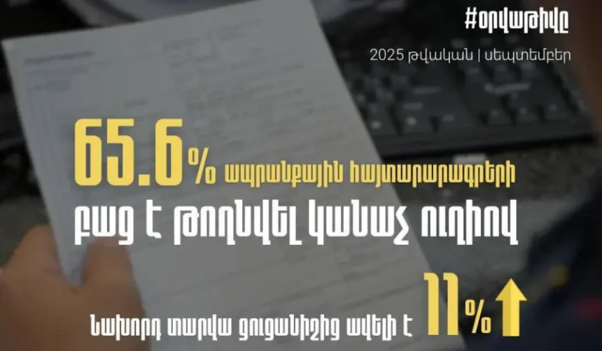 Ապրանքների հայտարարագրերի 65.6%-ը բաց է թողնվել կանաչ ուղիով. ՊԵԿ նախագահ