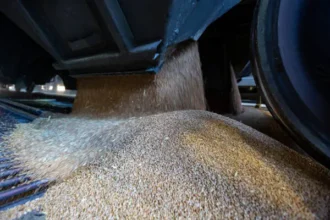 Ռուսական ցորենը Ադրբեջանով հասավ Հայաստան