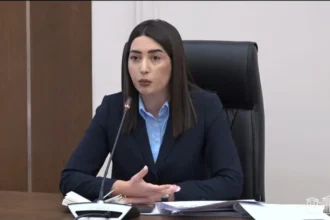 Առաջիկա օրերին հայկական կողմին պաշտոնապես կհանձնվի Վիզաների ազատականացման գործողությունների ծրագիրը․ ՆԳ նախարար